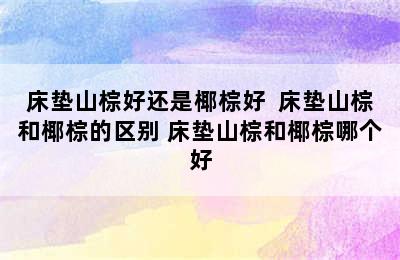 床垫山棕好还是椰棕好  床垫山棕和椰棕的区别 床垫山棕和椰棕哪个好